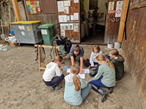 555479030 1298751452047374 5234064723547917825 n