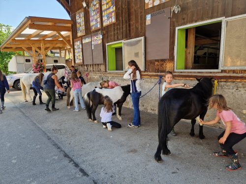 555545488 1298751412047378 6588748636381615217 n