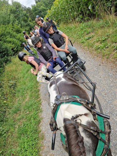 555600084 1298751882047331 1089370940623040723 n