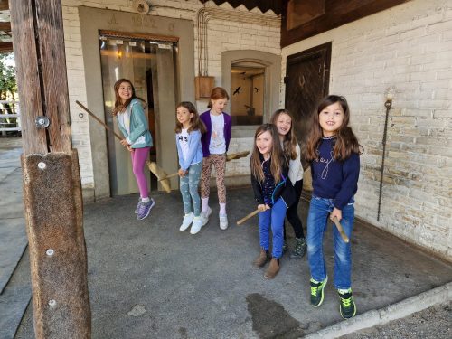 555620560 1298752282047291 5969830060383656061 n