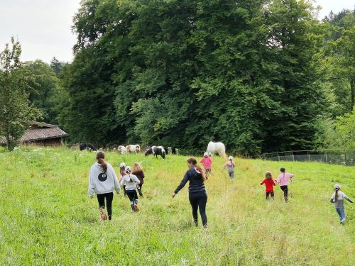 552767162 1298768675378985 8878694861476334746 n