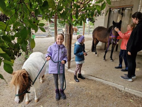 554675836 1298767832045736 2033596302890388378 n