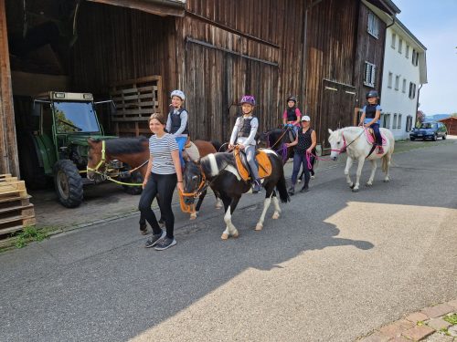 554787347 1298768742045645 3209851113247254822 n