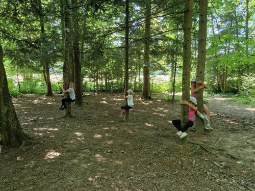 554912926 1298770085378844 7814821879524188209 n