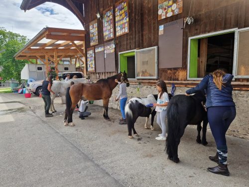 555070379 1298768078712378 1554542970457025163 n