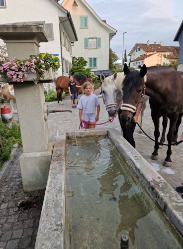 555433620 1298765958712590 291224373243592631 n