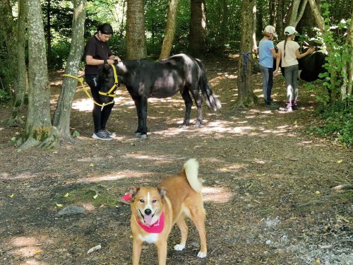 555451384 1298769565378896 4925688452304981471 n