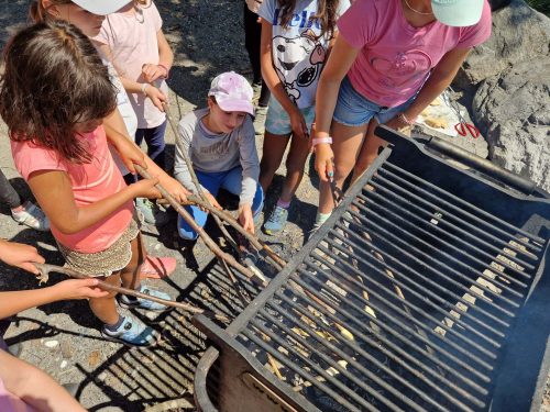 555569755 1298769652045554 6186600252071869281 n