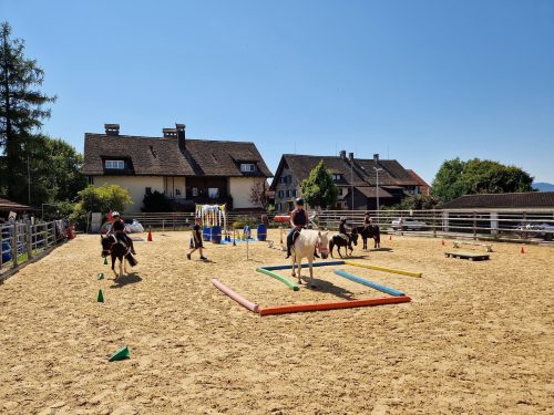 555709216 1298770492045470 5716431559186084844 n