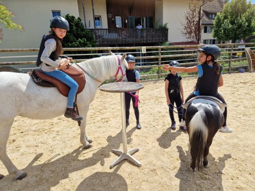 555733797 1298768422045677 6285386504090535752 n