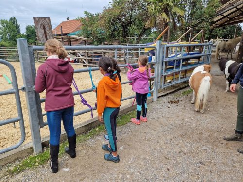 555837391 1298767385379114 7904405470747008132 n