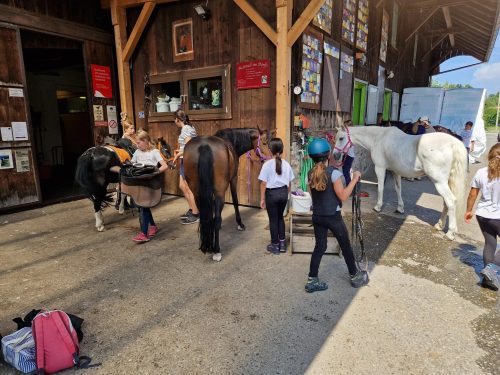 554106367 1298795682042951 8328255424723817759 n