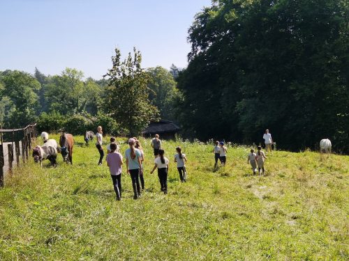 554108375 1298790725376780 2294322524117301916 n