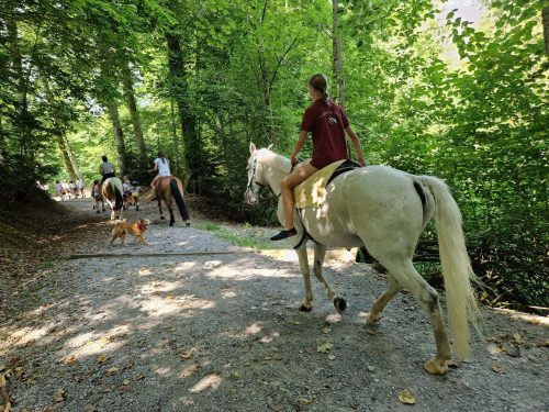 554990046 1298796492042870 806667892199329563 n