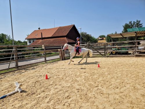 555467387 1298790078710178 2635935462993714407 n