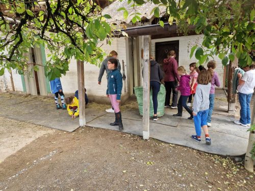 552855221 1298759915379861 7637888599649355987 n