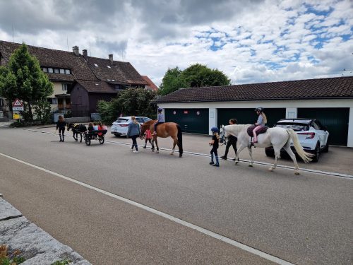 554822812 1298757972046722 2262108700939628358 n