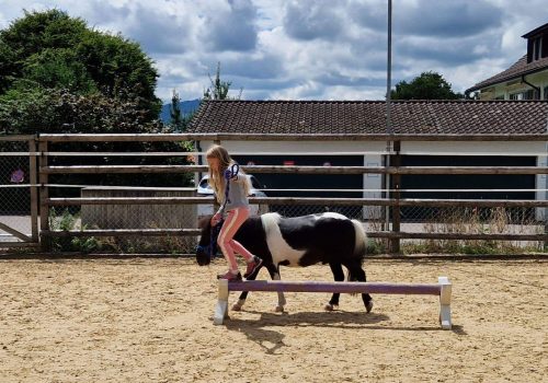 554860352 1298753585380494 9014572158459988847 n