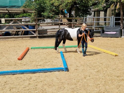 555044811 1298757725380080 4784570325070366654 n