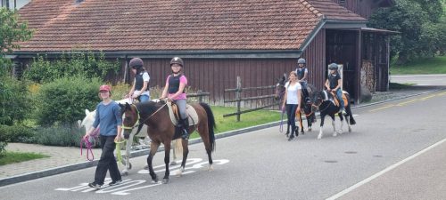 555441844 1298755635380289 7285956014071646991 n