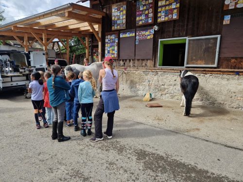 555451385 1298759645379888 8893702292222164278 n