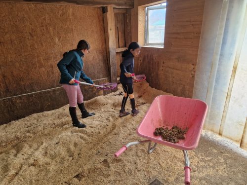 555502002 1298760052046514 1428904507988574198 n