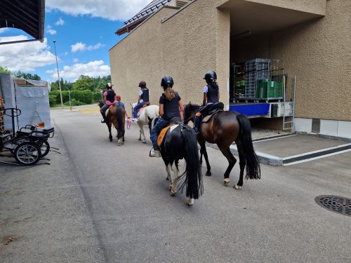 555519118 1298759282046591 5063193570099303806 n