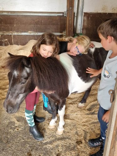 555535492 1298757468713439 6878824656338426790 n