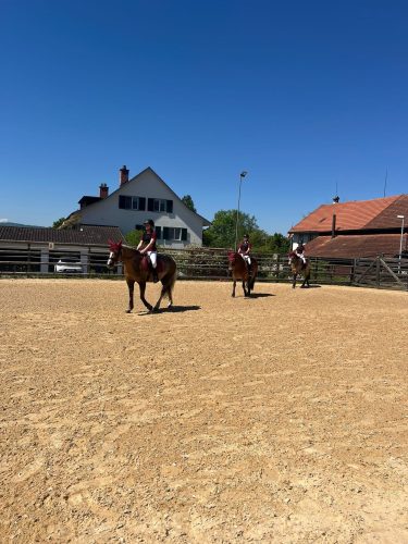 517154264 1234399205149266 7620832172033693270 n