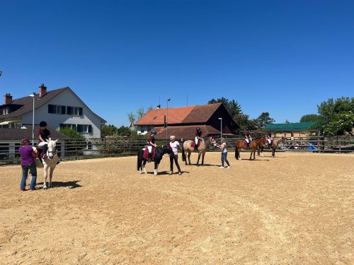 518276802 1234673135121873 4669412575439578239 n