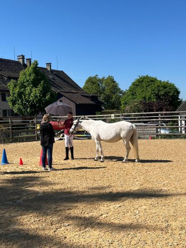 518284691 1234398898482630 3179244465772449184 n