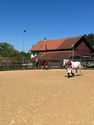 518322559 1234399508482569 3381519157391995167 n