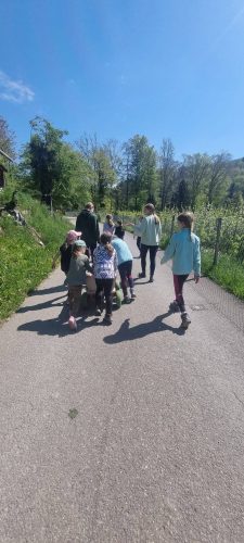 504377369 1234375678484952 7165391663282444472 n