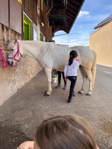 516596960 1234675618454958 5732425613974126628 n