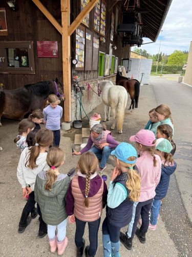 518092229 1234376618484858 7408824662329445917 n