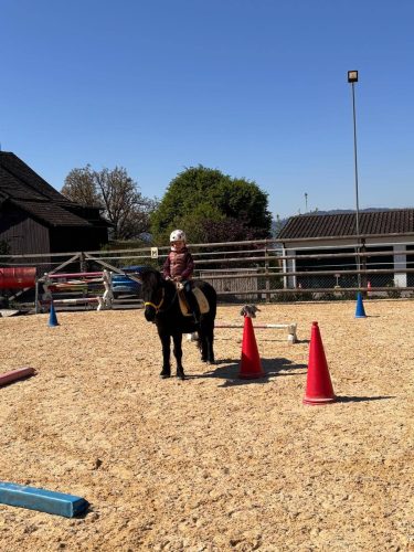 518092333 1234376315151555 7768232738594710319 n