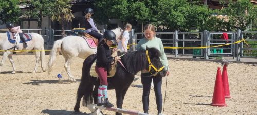 518252049 1234375608484959 4792469827877128092 n