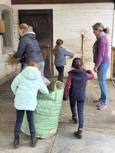 518308252 1234675868454933 5835105738691426975 n