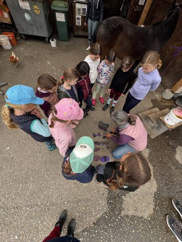 518321032 1234376731818180 614423284636270432 n