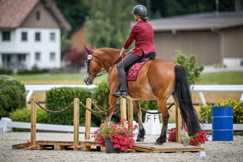 554571952 1298666535389199 4013631701721688754 n