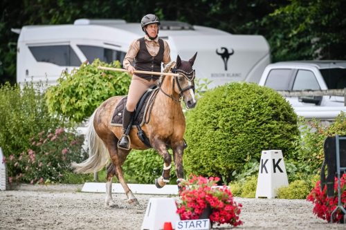 554683650 1298668515389001 5851610415926410927 n