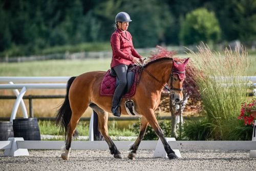 554787524 1298667545389098 5581709997073643794 n