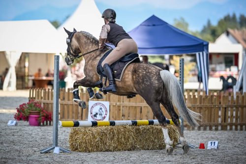 555433941 1298666758722510 2721407150960811999 n