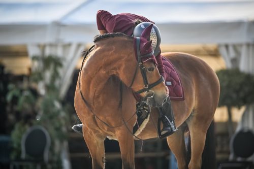 555500517 1298667712055748 1685388122876084356 n