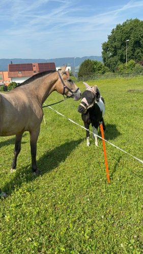 504378112 1234679775121209 4820071964115513138 n