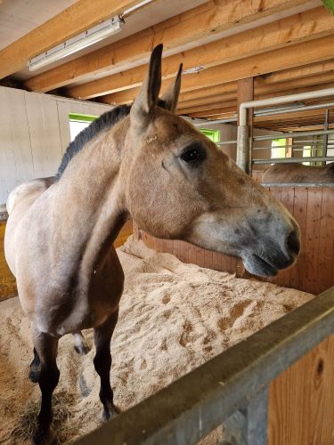 516620908 1234680258454494 5575729513982172033 n