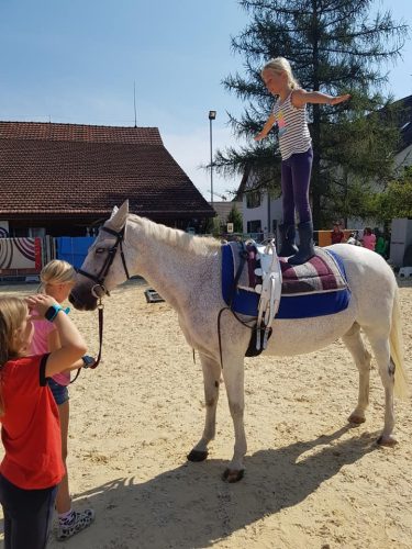 305206949_549282693660924_8225801132612605463_n