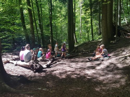 305207833_549272786995248_2599102567943932258_n