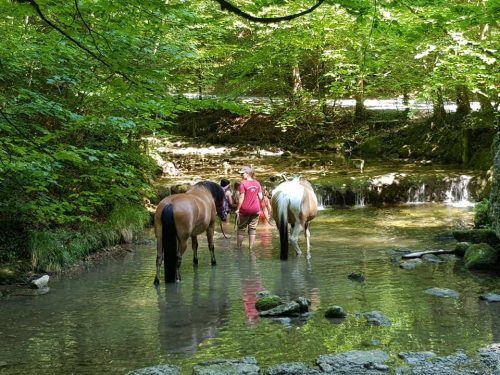 305209603_549261340329726_4148685454899005078_n