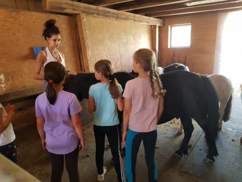 305213622_549269833662210_4815312154559233042_n